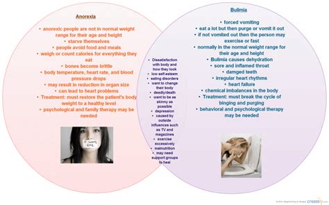 anorexia vs bulimia|anorexia vs bulimia venn diagram.
